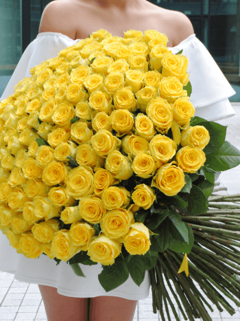101 geltona rožė