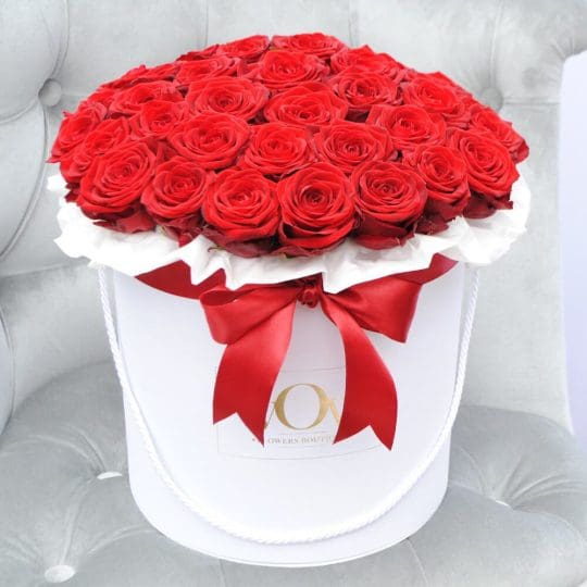Raudonos rožės “Luxury” AB/D