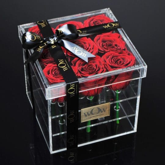 Miegančios raudonos rožės Clear Box M