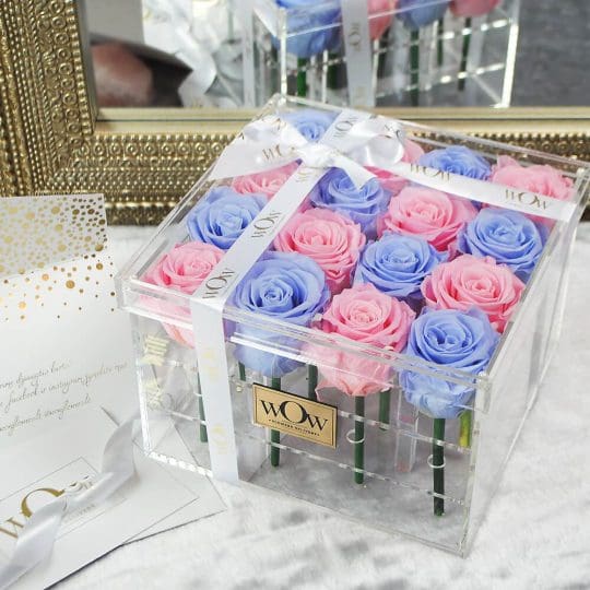 Miegančios rožės clear box blue-pink2