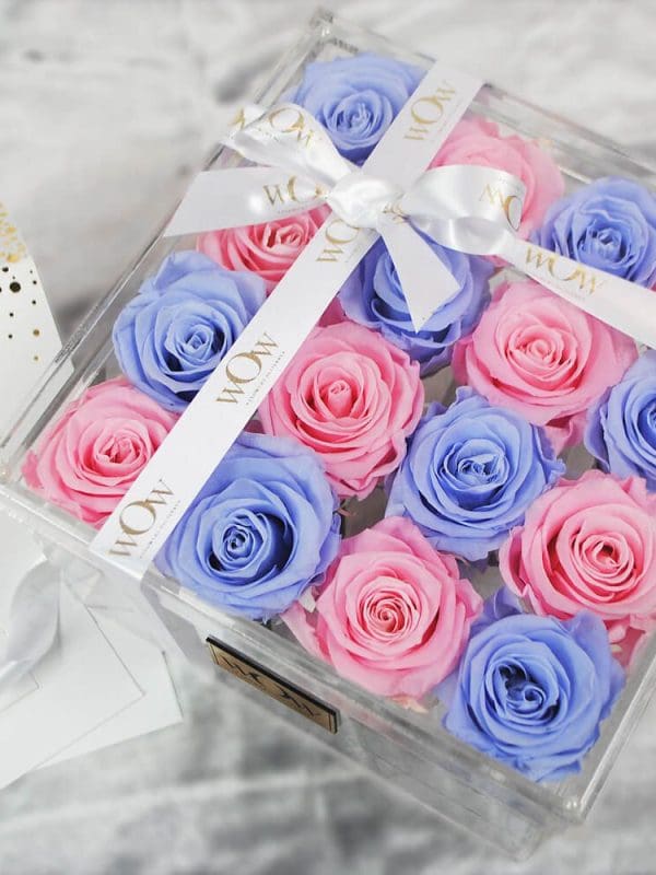 Miegančios rožės clear box blue-pink3