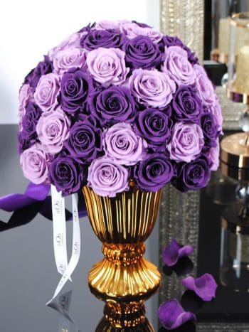 Miegančios rožės vazoje Lilac/Purple