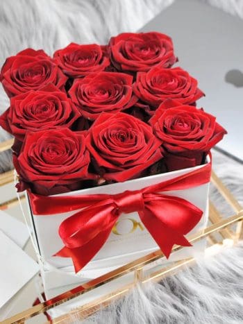 Raudonos rožės dėžutėje KB/M