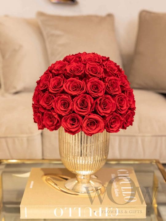 Miegančios rožės vazoje RED