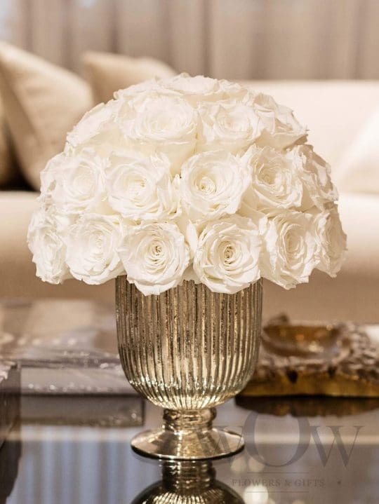 Miegančios rožės vazoje WHITE