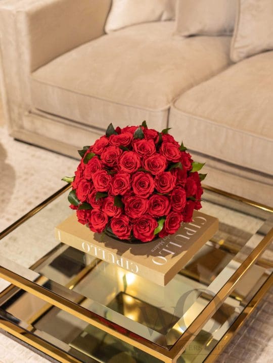 Miegančios rožės vazoje RED/BLACK