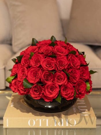 Miegančios rožės vazoje RED/BLACK