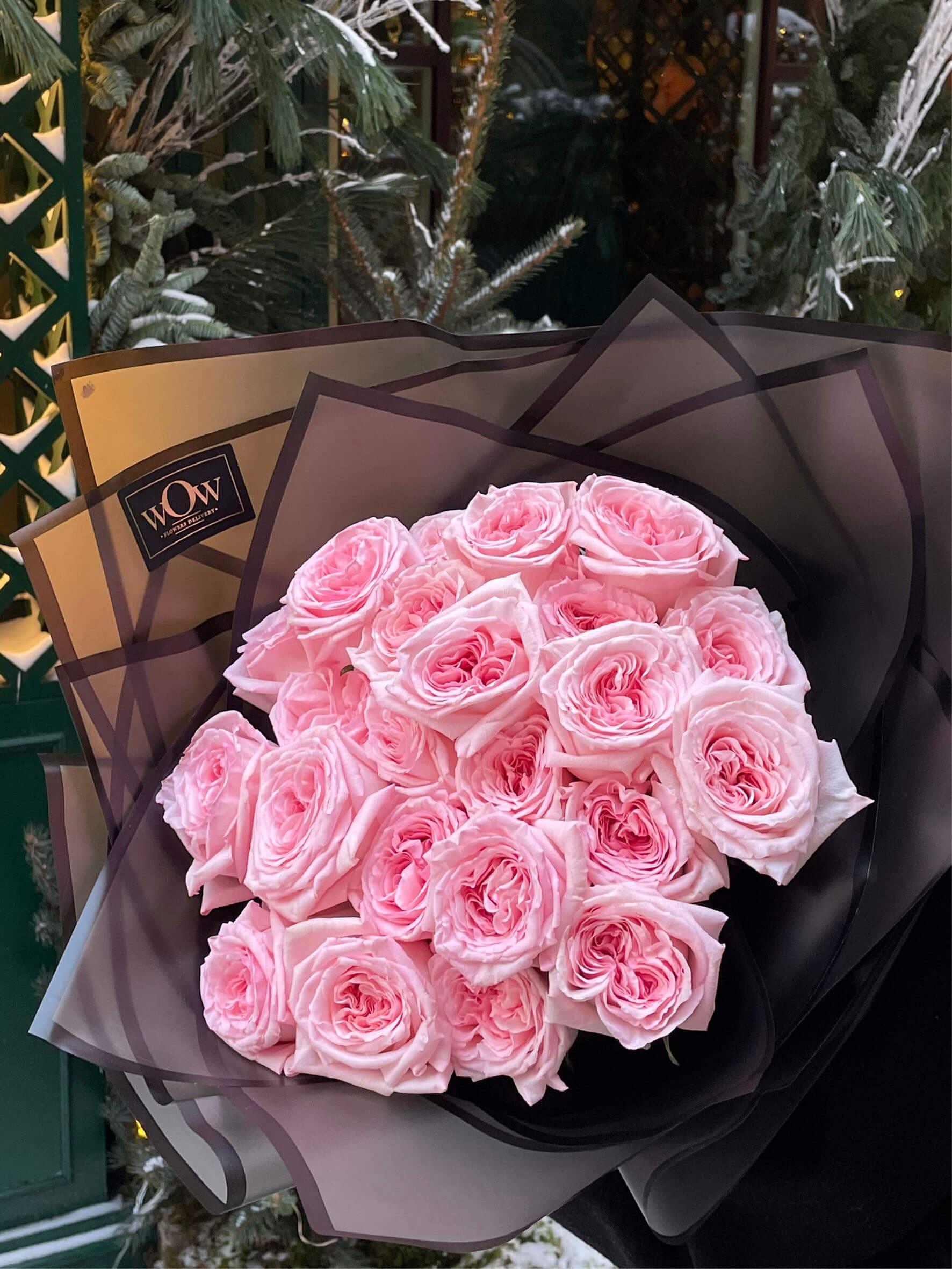 Kvepiančios rožės Pink O’Hara