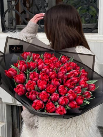 Tulpės “Red princess”